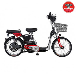 Xe đạp điện Asama EBK RY2001